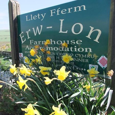 폰트팬 Erw-Lon Farm B&B 외부 사진