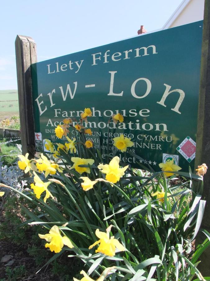 폰트팬 Erw-Lon Farm B&B 외부 사진